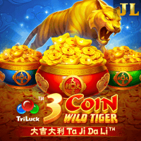 3 Wild Tigers